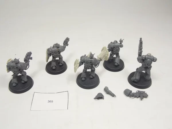 DeathWatch Veterans. Kromlech 365
