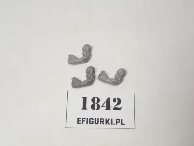 Ręce Orki Ork. 1842 Bitsy