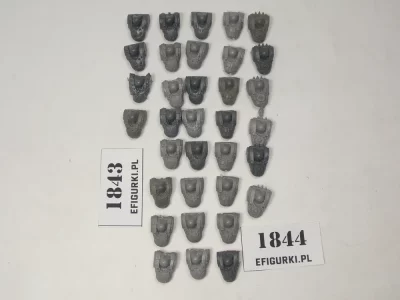 Torsy Orki Bitsy Orc. 1843-4