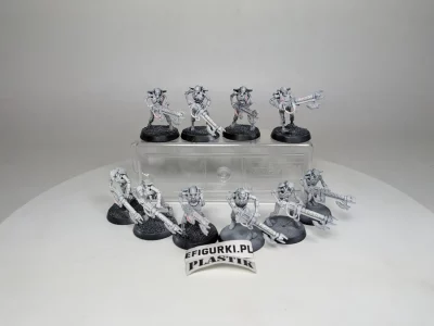 Necron Warriors. 10-6