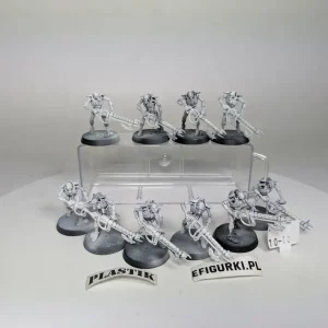 Necron Warriors. 10-10