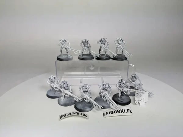 Necron Warriors. 10-10