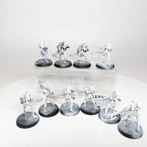 Necron Warriors. 10-10