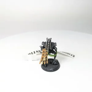 Necron Rooyal Warden. 9-20