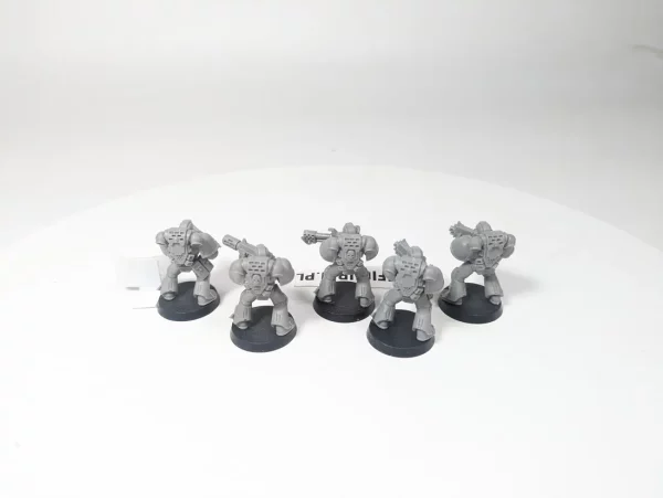 Space Marines tactical Squad. 8-6