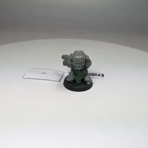Space Marines Devastator . 309