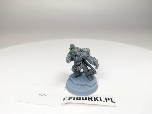 Space Wolves Assault. 428