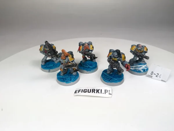 Space Wolves Assault Squad. 8-24