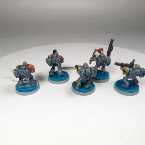 Space Wolves Assault Squad. 8-24