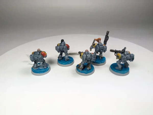 Space Wolves Assault Squad. 8-24