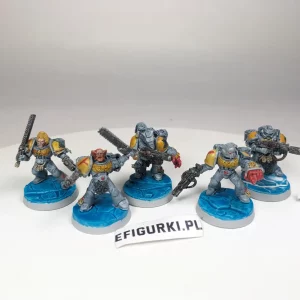 Space Wolves Assault Squad. 8-26