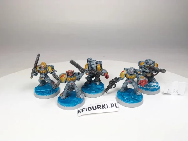 Space Wolves Assault Squad. 8-26