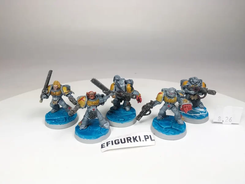 Space Wolves Assault Squad. 8-26