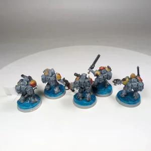 Space Wolves Assault Squad. 8-26