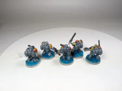 Space Wolves Assault Squad. 8-26