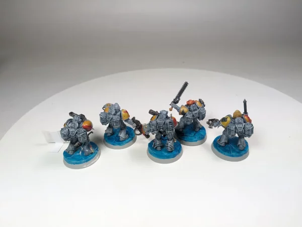 Space Wolves Assault Squad. 8-26