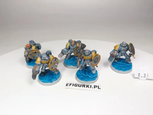 Space Wolves Assault Squad. 8-33