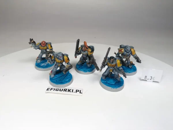Space Wolves Assault Squad. 8-34