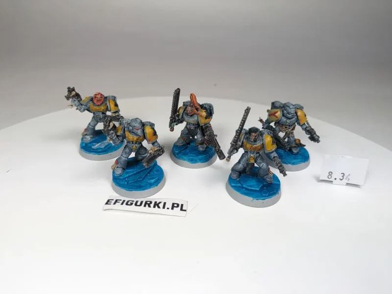 Space Wolves Assault Squad. 8-34