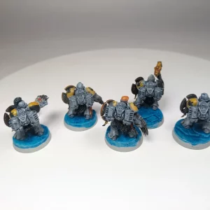 Space Wolves Assault Squad. 8-35
