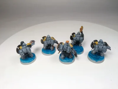 Space Wolves Assault Squad. 8-35