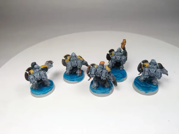 Space Wolves Assault Squad. 8-35