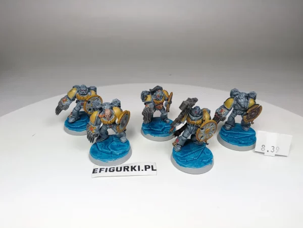 Space Wolves Assault Squad. 8-39