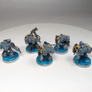 Space Wolves Assault Squad. 8-39
