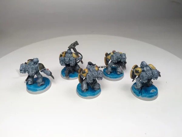Space Wolves Assault Squad. 8-39