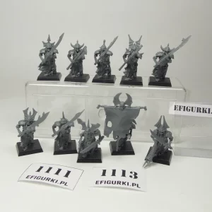 Grave Guard Skeleton Vampire. 1111-13
