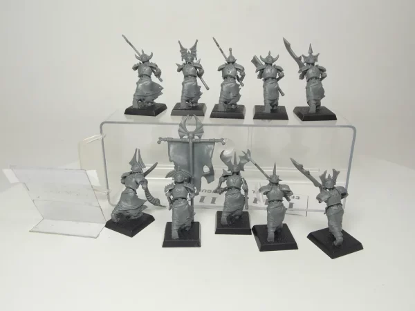 Grave Guard Skeleton Vampire. 1111-13
