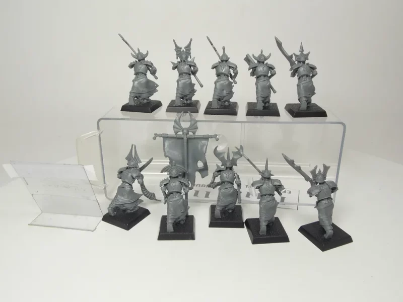 Grave Guard Skeleton Vampire. 1111-13