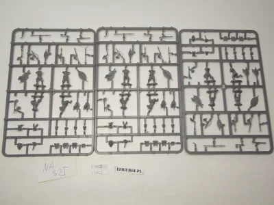 Unmaried Zulu Regiment. 19-22
