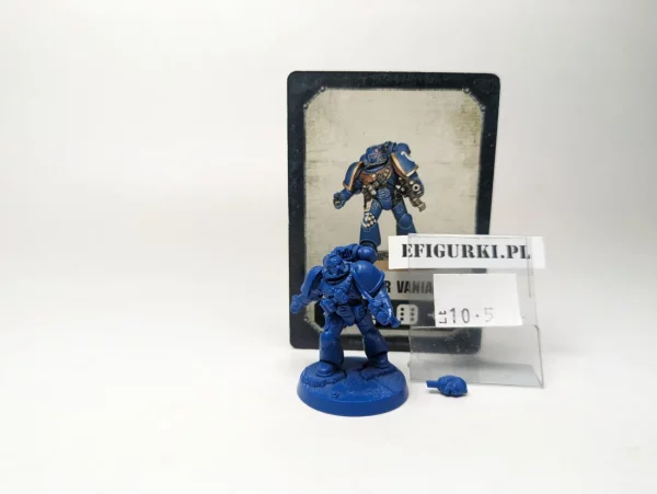 Brother Sergeant Sevastus/Baldaeo lt10-5