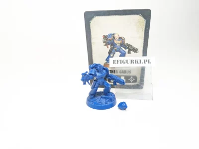 Brother Garus lt10-8.