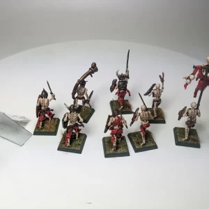 Vampire Counts Skeleton. 3-2