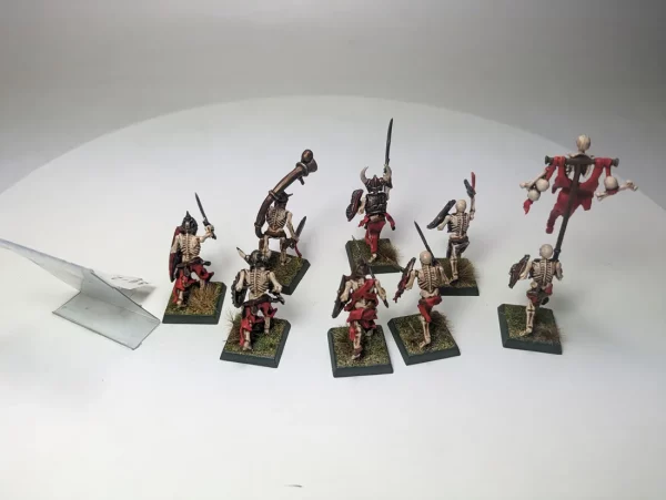 Vampire Counts Skeleton. 3-2
