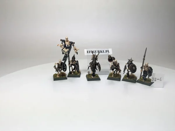Vampire Counts Skeleton. x6 3-2