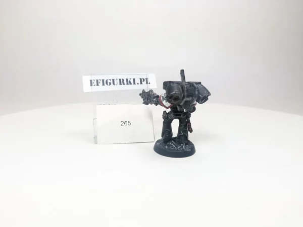 Black Templar Assault Marines. 265