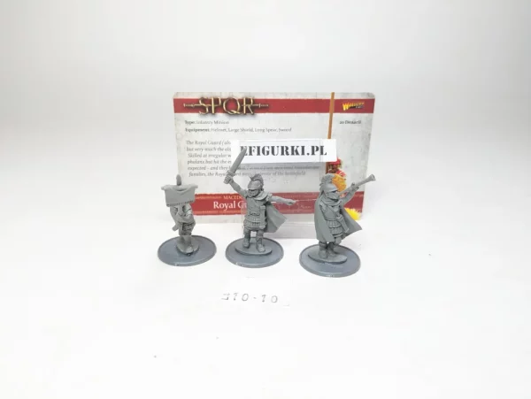 Macedonian Command Royal Guard. Warlord Game lt10-10