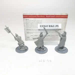 Macedonian Command Royal Guard. Warlord Game lt10-10