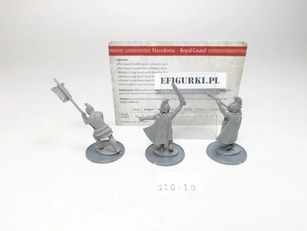 Macedonian Command Royal Guard. Warlord Game lt10-10
