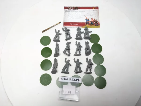 Tribsmen Gaul. SPQR/Hail Cesar 32-81