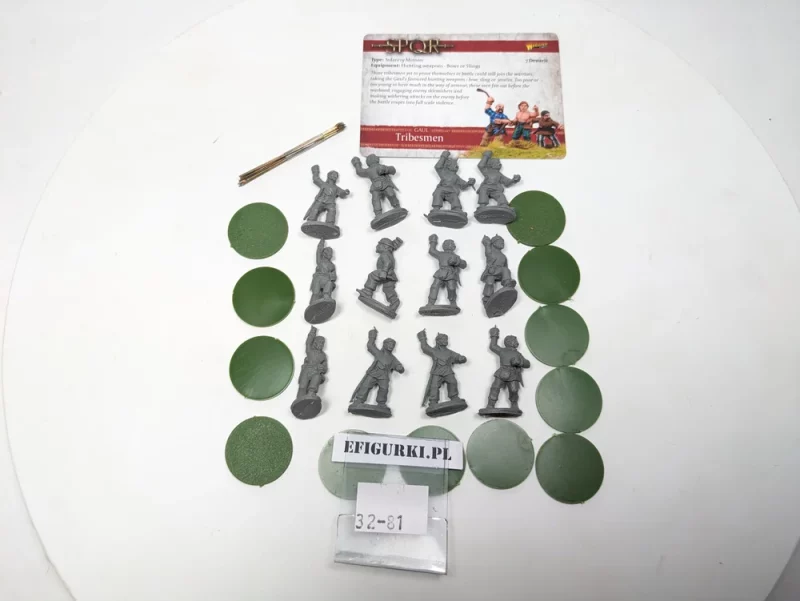 Tribsmen Gaul. SPQR/Hail Cesar 32-81