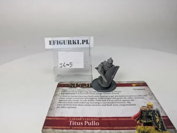 Titus pullo SPQR. lt4-5