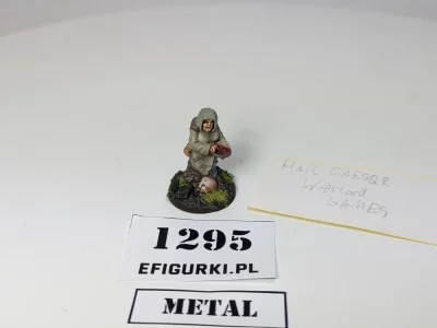 Hag Druid Hail Caesar Warlord games. 1295