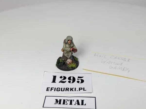 Hag Druid Hail Caesar Warlord games. 1295