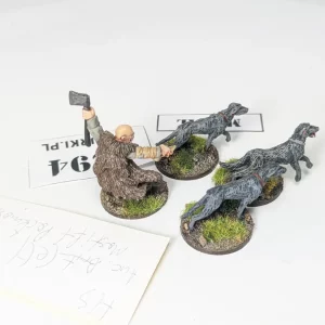 Hail Caesar Warlord games. Packmaster Celt 1294