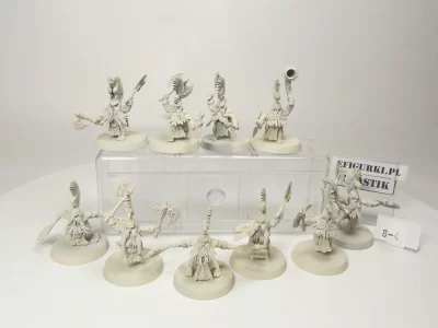 Vulkite Berzerks with Fyresteel weapons. 8-4