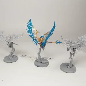 Prosecutors Stormcast Eternals. 23-33